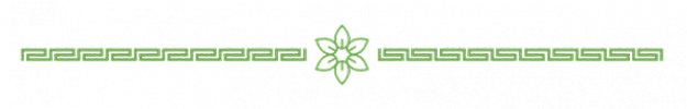 small flower logo for divider
