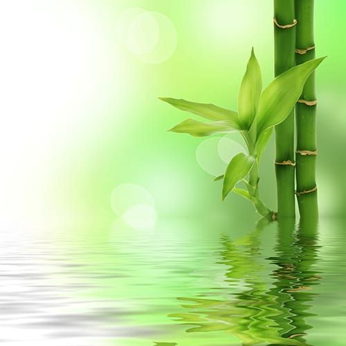 Natural Formula options for Chinese Herbs