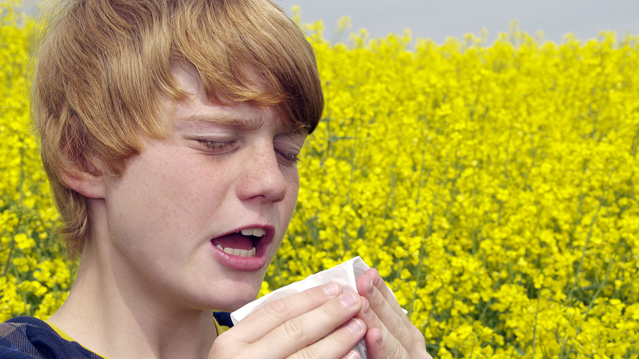 Allergies are cured by Acupuncture in Tucson, AZ