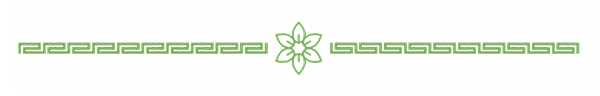 small flower logo for divider